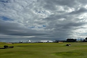 Edinburgh: St. Andrews and Fife Day Trip with Sheepdog.