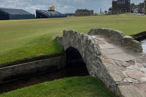 Edinburgh: St. Andrews and Fife Day Trip with Sheepdog.