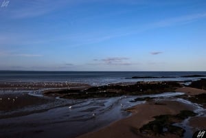 Edinburgh: St. Andrews & Coastal Fife Private Tour