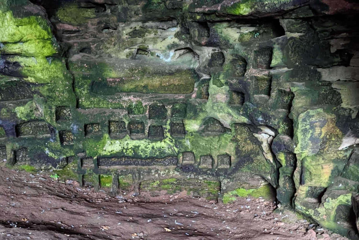 Edinburgh: Andrews, Dunfermline Abbey og Fife Coast Tour