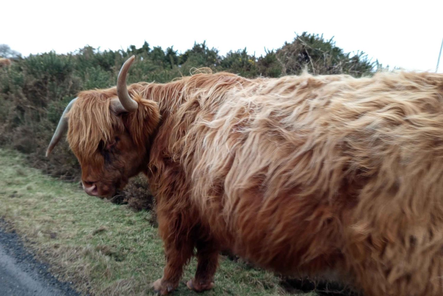 Из Эдинбурга: 5-дневный тур по Стерлингу, Хайленду и Лох-Нессу