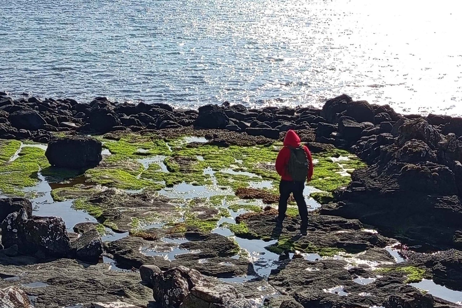 Из Эдинбурга: 5-дневный тур по Стерлингу, Хайленду и Лох-Нессу