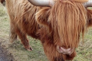 Из Эдинбурга: 5-дневный тур по Стерлингу, Хайленду и Лох-Нессу