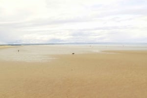 Desde Edimburgo: tour en español de Stirling y Saint Andrews