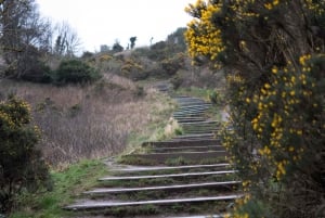 Edimburgo: Excursión al Atardecer por Arthur's Seat con Guía de Montaña