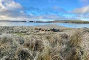 Édimbourg : festival viking Up Helly Aa et visite des Shetland