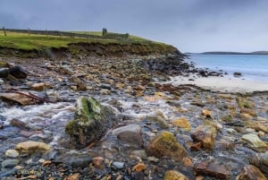 Édimbourg : festival viking Up Helly Aa et visite des Shetland