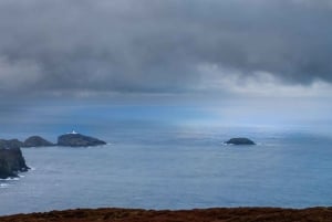 Édimbourg : festival viking Up Helly Aa et visite des Shetland