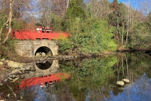 Edinburgh: Walk Dean Village, New Town & Royal Botanics