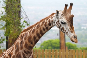 Edinburgh Zoo Entrance Ticket