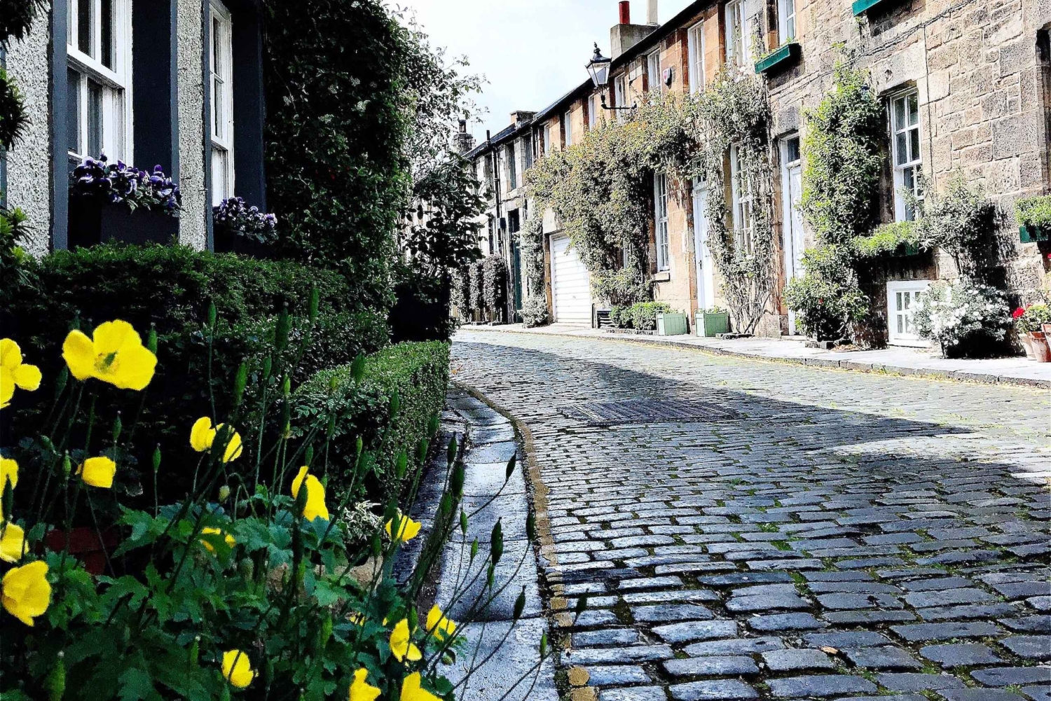 Lumoava Edinburgh: Edinburgh: Puolipäiväinen kävelykierros paikallisen oppaan kanssa