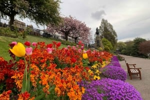 Die Essenz von Edinburgh: Private Halbtags-Sightseeing-Tour