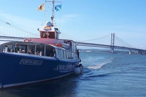 'Firth of Forth' Three Bridges Sightseeing Cruise