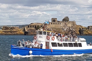 Firth of Forth: Sightseeing Cruise with Cream Tea