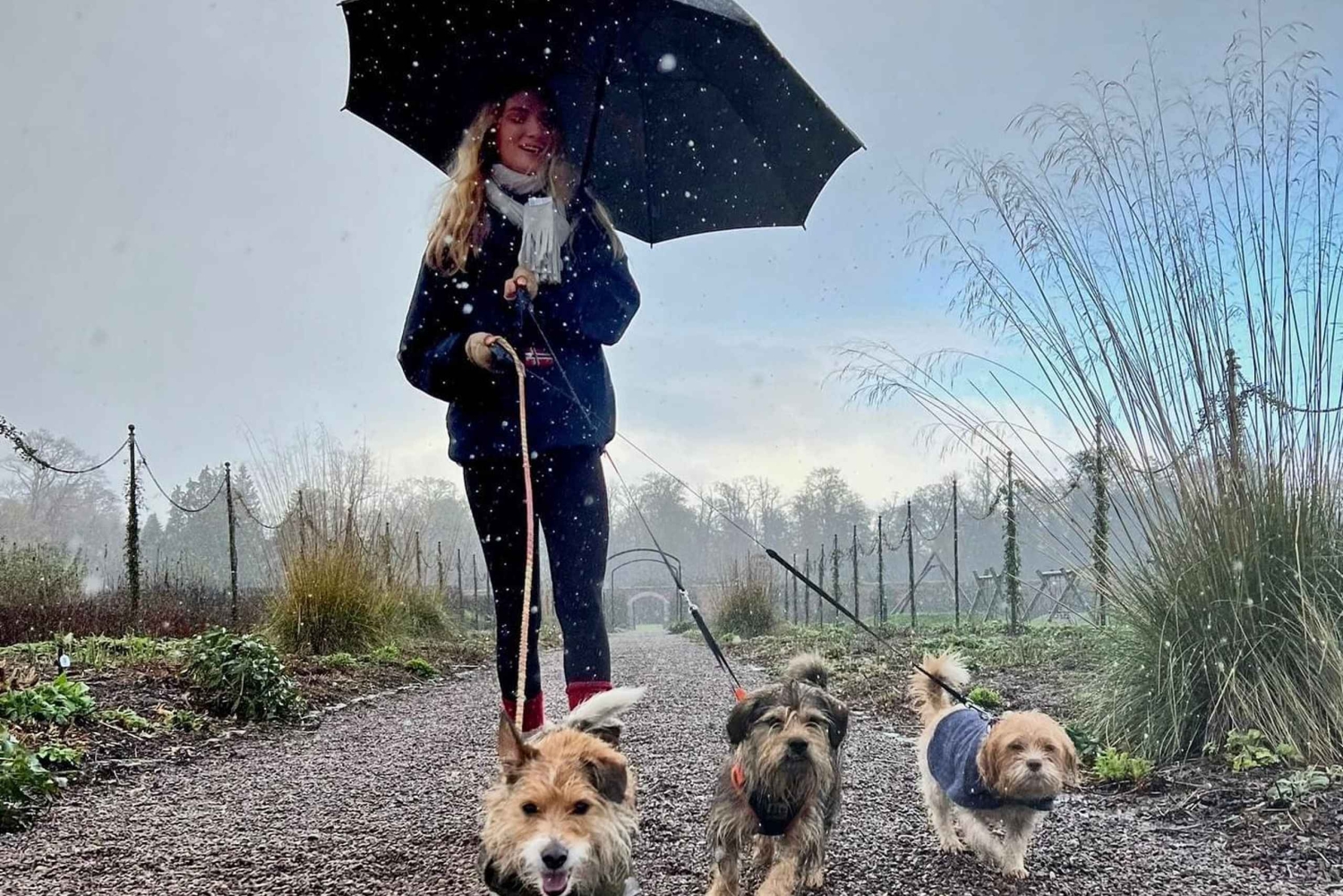 Biglietto solo per il giardino autunno/inverno di Floors Castle