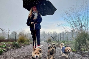 Biglietto solo per il giardino autunno/inverno di Floors Castle