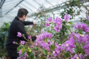 Biglietto solo per il giardino autunno/inverno di Floors Castle