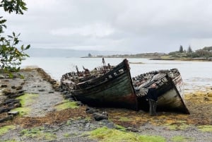 Vier Tage Mull & Oban: Essen & Trinken