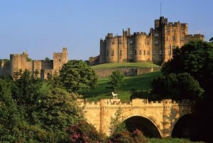 Costa vichinga e castello di Alnwick: tour da Edimburgo