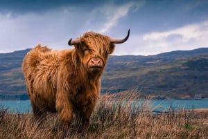 From Edinburgh: 3-Day Isle of Skye & Highlands Private Tour