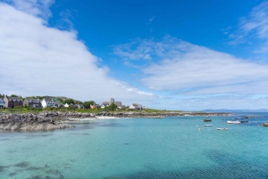 Desde Edimburgo Excursión de 4 días a las Islas Mull, Iona y Staffa
