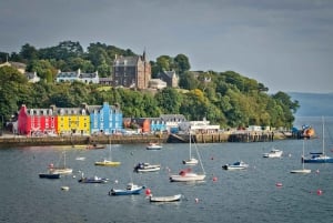 Da Edimburgo: Tour di 4 giorni di Mull, Iona, Staffa e le isole Puffin