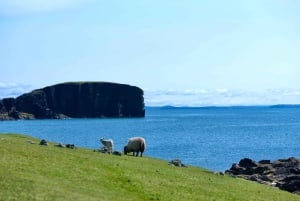 From Edinburgh: 6-Day Shetland & Nothernmost Explorer