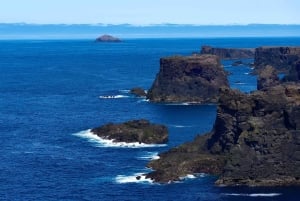 Ab Edinburgh: 6-tägige Shetland & Nothernmost Explorer