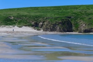 Ab Edinburgh: 6-tägige Shetland & Nothernmost Explorer