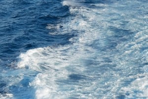 Ab Edinburgh: 6-tägige Shetland & Nothernmost Explorer