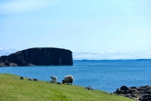 Ab Edinburgh: 6-tägige Shetland & Nothernmost Explorer