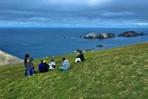 Ab Edinburgh: 6-tägige Shetland & Nothernmost Explorer