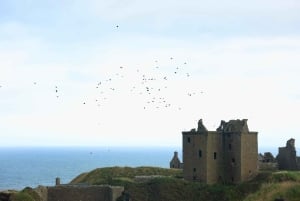 Ab Edinburgh: 6-tägige Shetland & Nothernmost Explorer