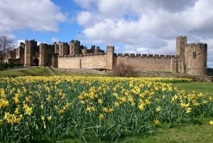 Da Edimburgo: Tour di un giorno del Castello di Alnwick e degli Scottish Borders