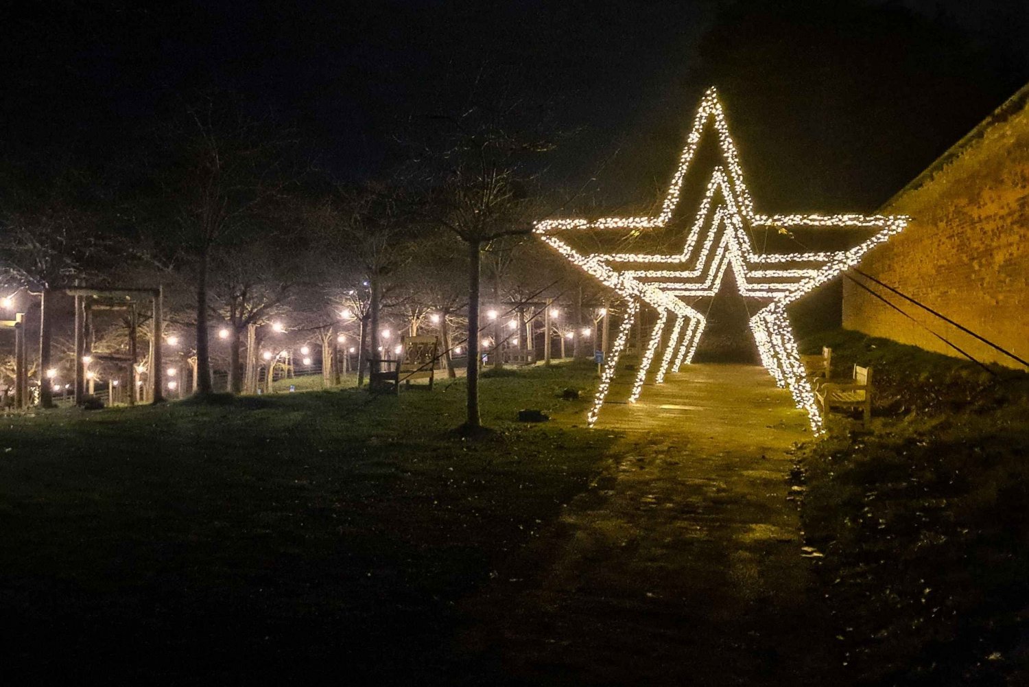 From Edinburgh: Alnwick Garden Magical Christmas Light Trail
