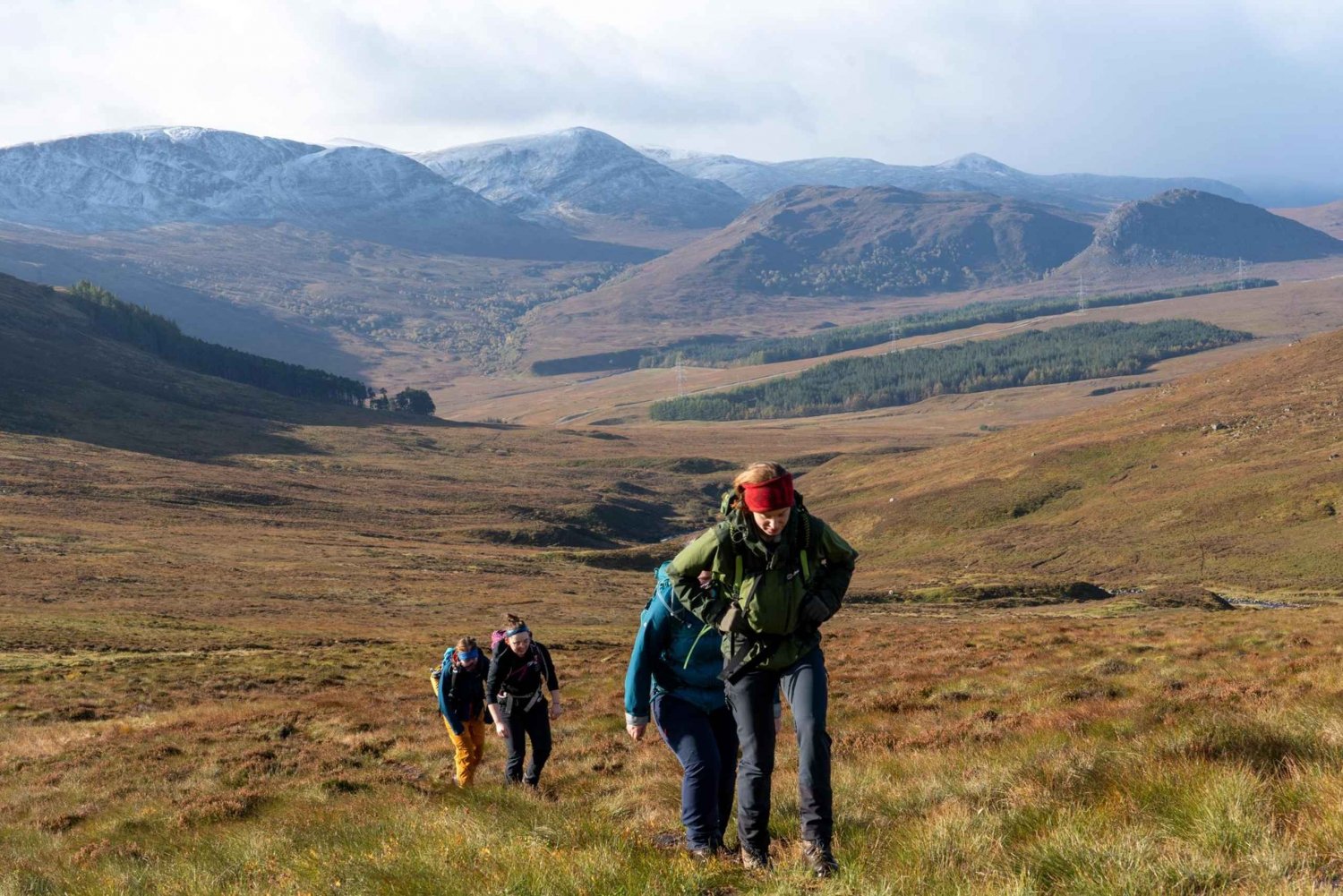 Vanuit Edinburgh: Cairngorms bergwandeling dagtrip met gids