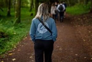 Vanuit Edinburgh: Hele dag Schotse Hooglanden en whiskytour