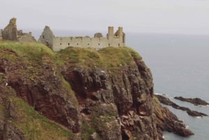 Från Edinburgh: Glamis och Dunnottar slottstur på spanska