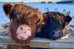 Vanuit Edinburgh/Glasgow: 3-daagse rondreis door Isle of Skye & Highland