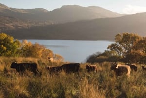 De Edimburgo: Excursão espanhola em Glasgow e lagos escoceses