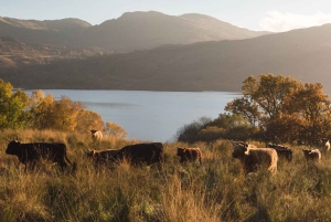 From Edinburgh: Glasgow & Scottish lakes Spanish Tour