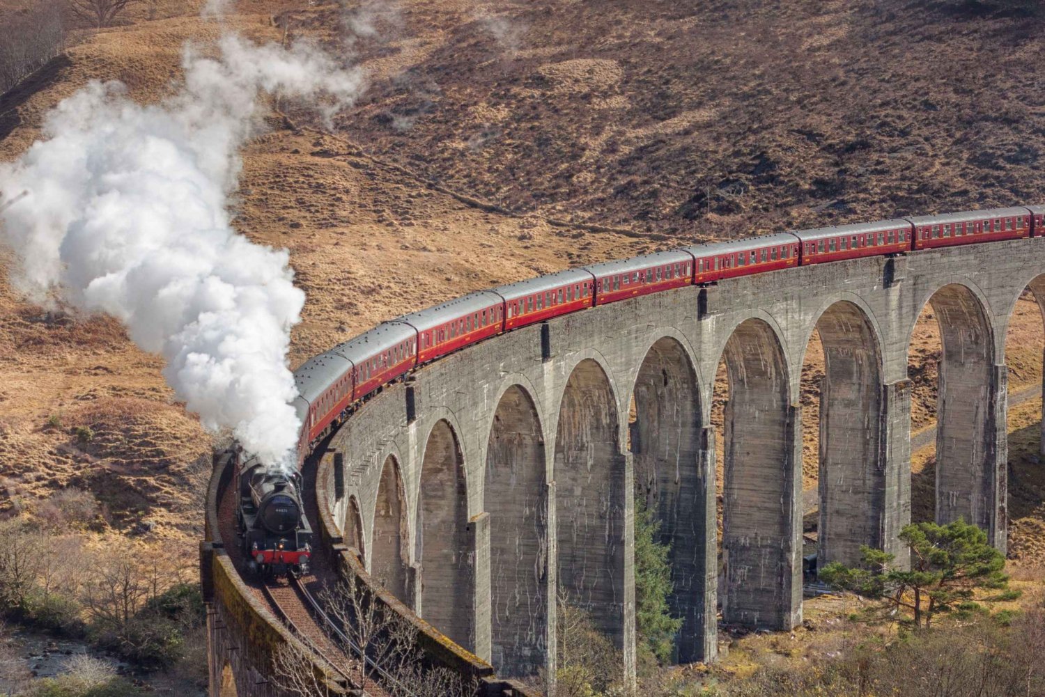 Da Edimburgo: Glenfinnan, Fort William e le mucche delle Highlands