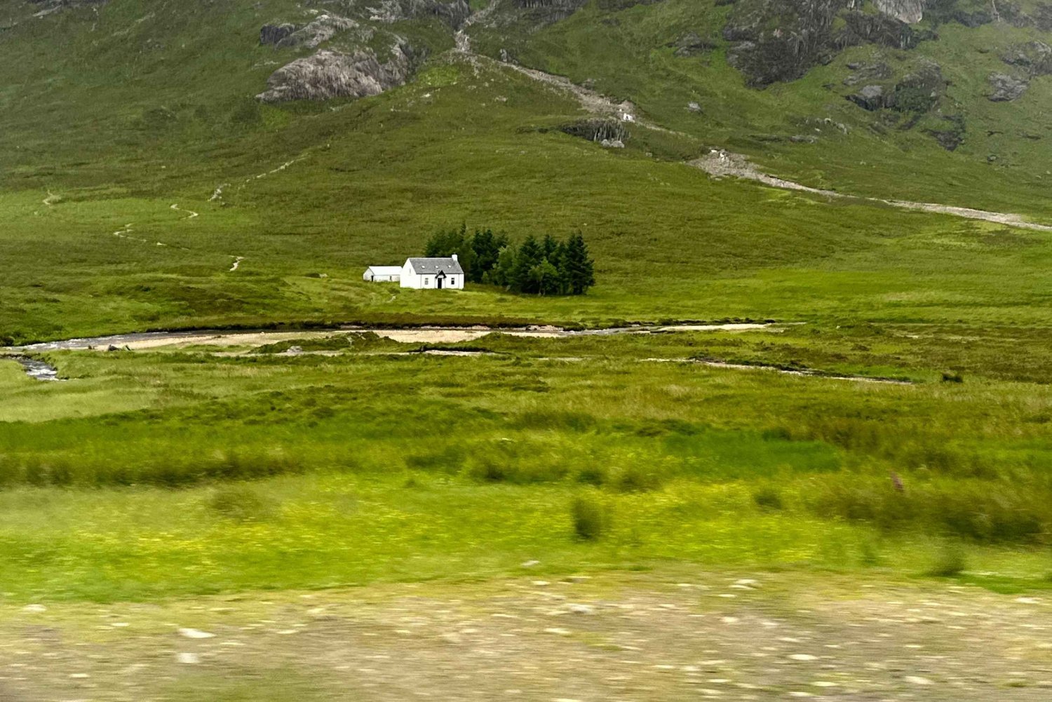 Vanuit Edinburgh: Glenfinnan, Fort William en Highland Koeien