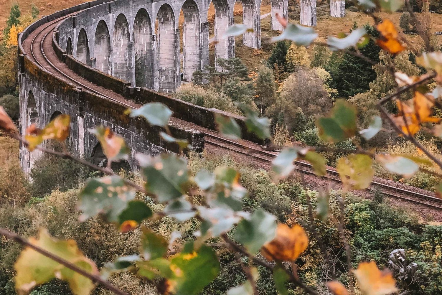Vanuit Edinburgh: Glenfinnan, Fort William en Highland Koeien
