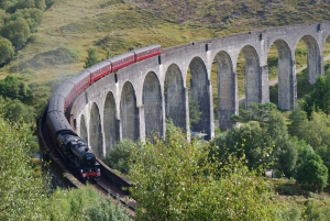 Vanuit Edinburgh: Glenfinnan, Fort William en Highland Koeien