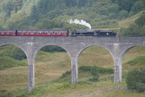 Vanuit Edinburgh: Glenfinnan, Fort William en Highland Koeien