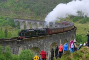 Vanuit Edinburgh: Glenfinnan, Fort William en Highland Koeien