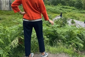 Vanuit Edinburgh: Glenfinnan, Fort William en Highland Koeien