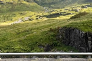 Vanuit Edinburgh: Glenfinnan, Fort William en Highland Koeien
