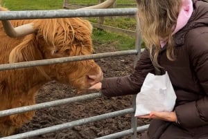 From Edinburgh: Isle of Skye and Hogwarts Express 4-Day Trip